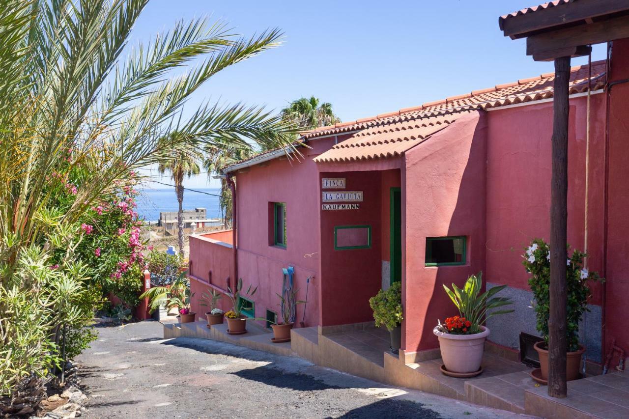 Finca La Gaviota - El Marmol Икод-де-лос-Винос Экстерьер фото